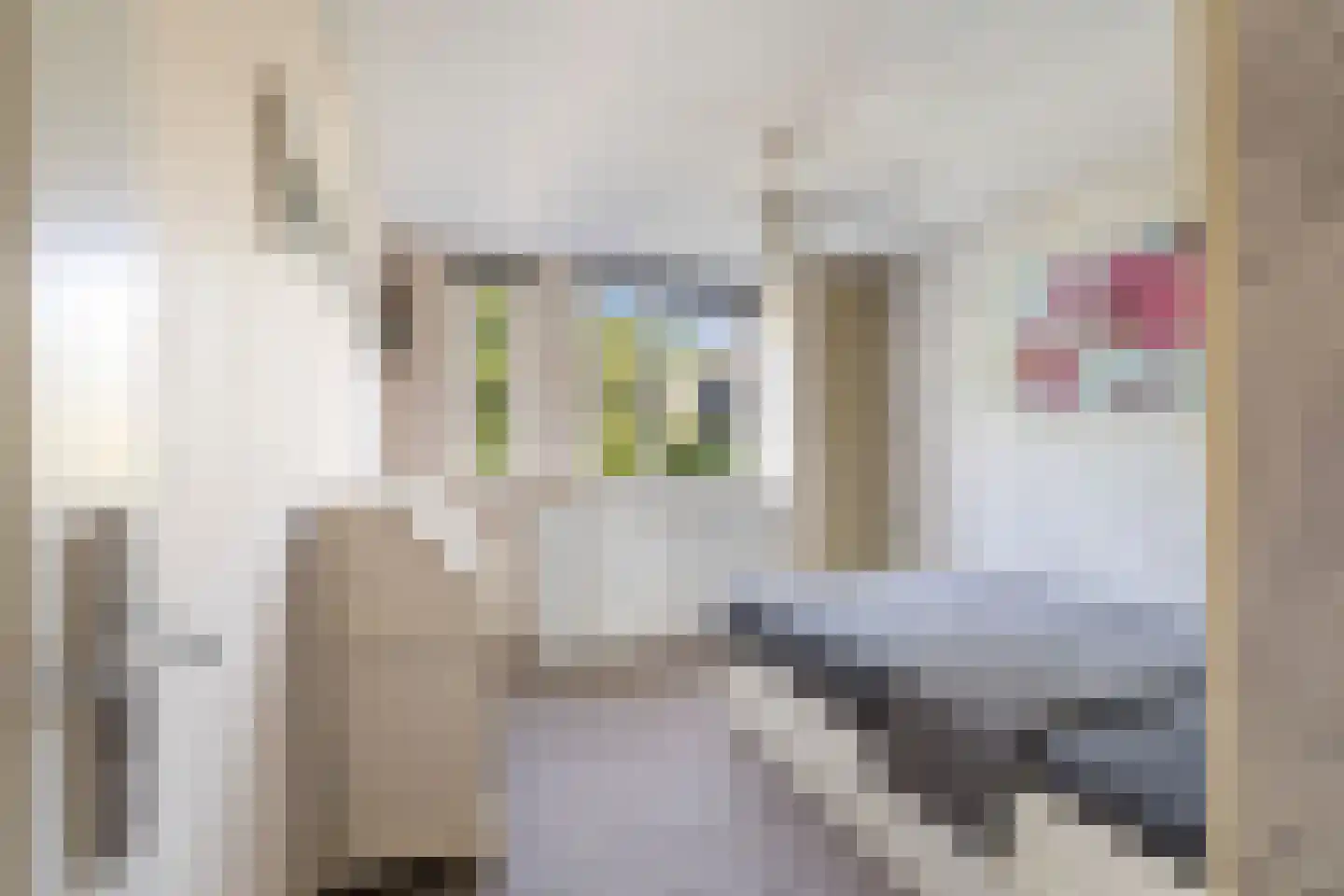 Koraalzwam 139 Alphen aan den Rijn thumbnail 30