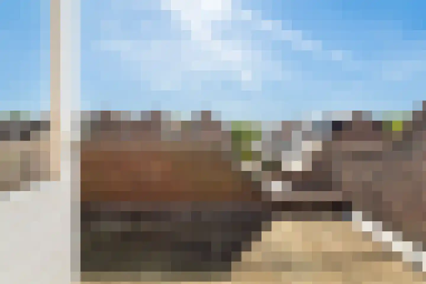 Koraalzwam 139 Alphen aan den Rijn thumbnail 41