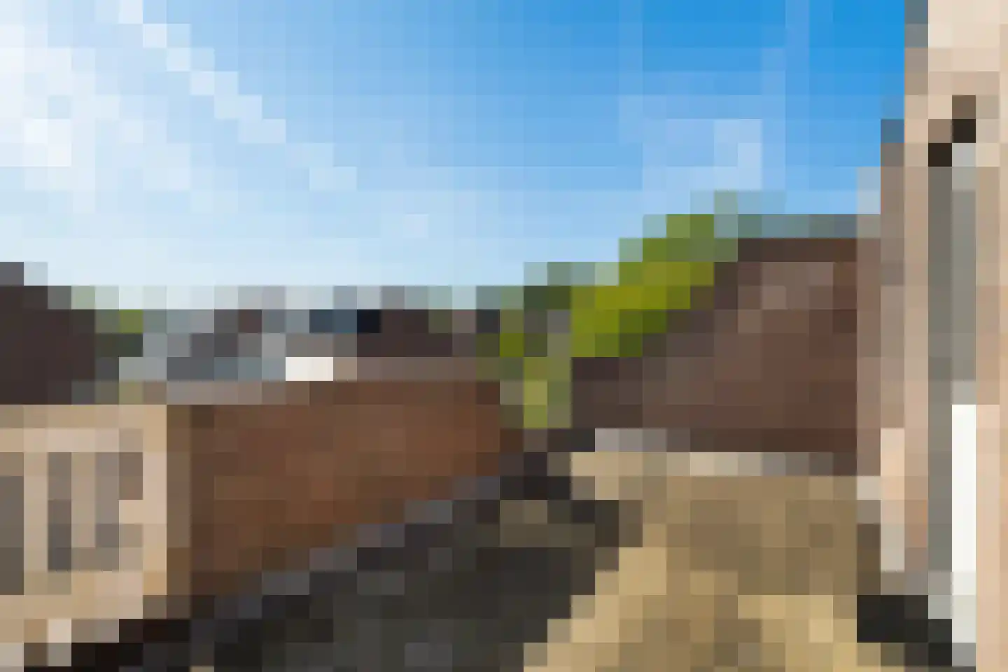 Koraalzwam 139 Alphen aan den Rijn thumbnail 42