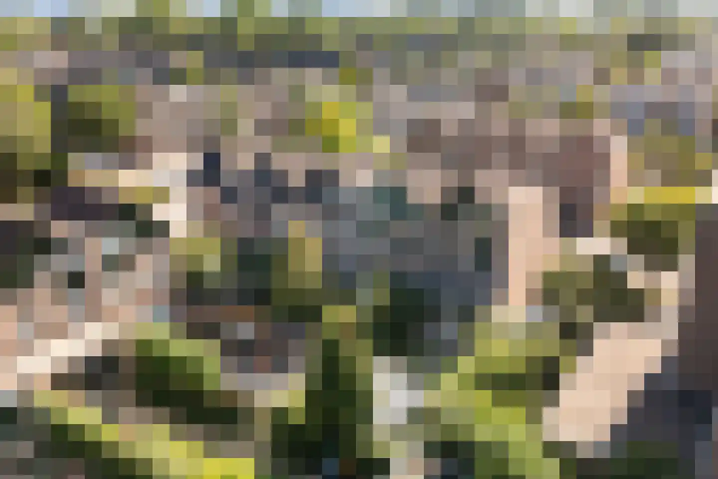 Koraalzwam 139 Alphen aan den Rijn thumbnail 43