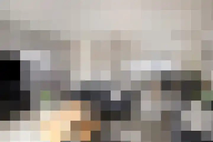Koraalzwam 14 Veenendaal thumbnail 11