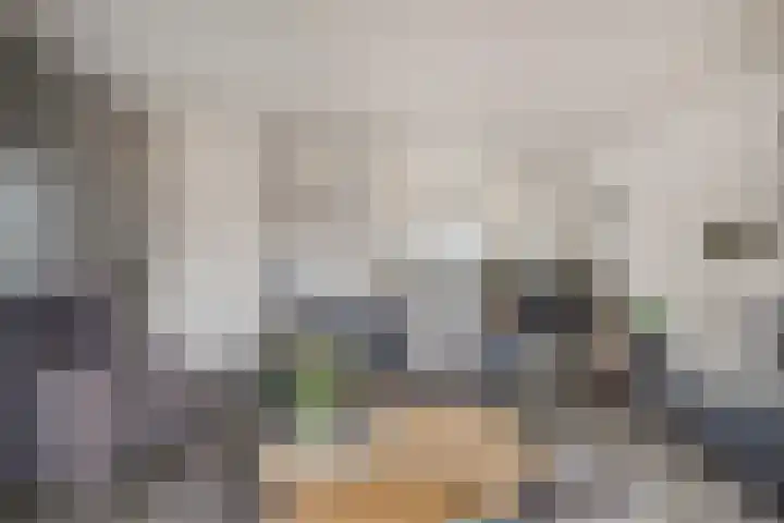 Koraalzwam 14 Veenendaal thumbnail 12