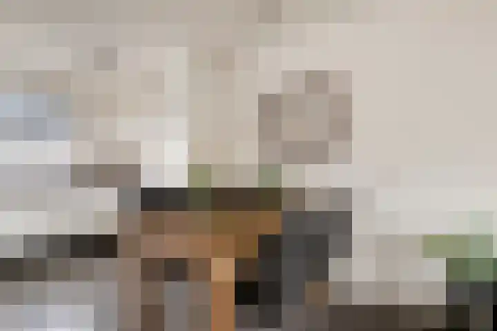 Koraalzwam 14 Veenendaal thumbnail 14