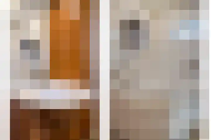 Koraalzwam 14 Veenendaal thumbnail 18