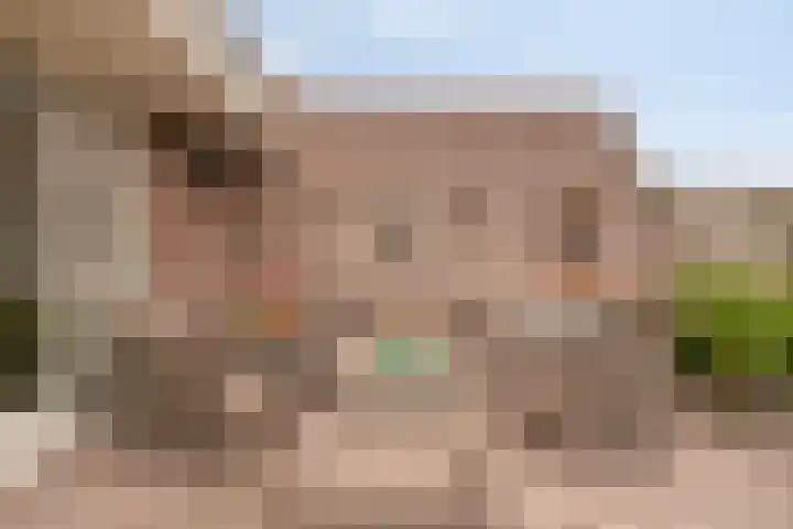 Koraalzwam 14 Veenendaal thumbnail 25