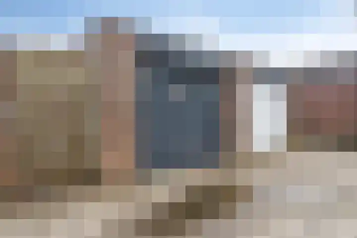Koraalzwam 14 Veenendaal thumbnail 29
