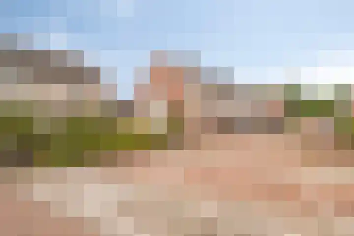 Koraalzwam 14 Veenendaal thumbnail 31