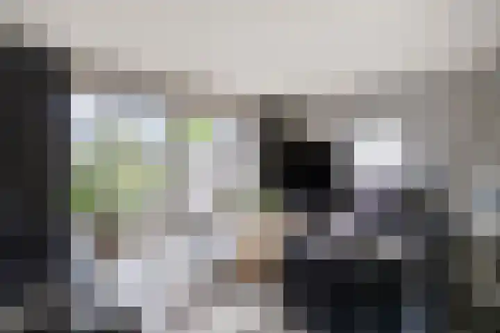Koraalzwam 14 Veenendaal thumbnail 4