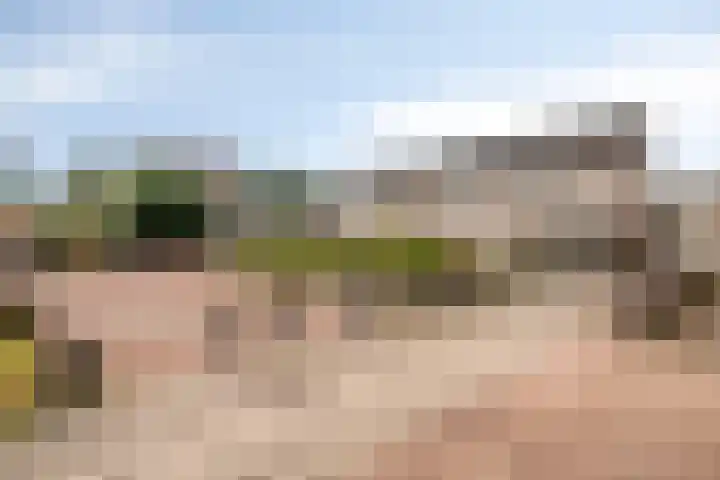 Koraalzwam 14 Veenendaal thumbnail 6