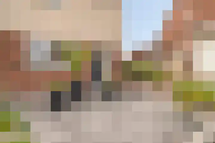 Koraalzwam 14 Veenendaal thumbnail 7