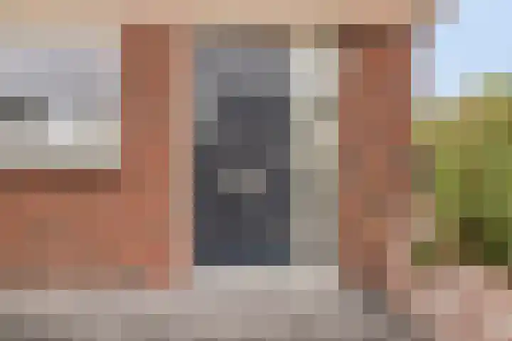 Koraalzwam 14 Veenendaal thumbnail 8