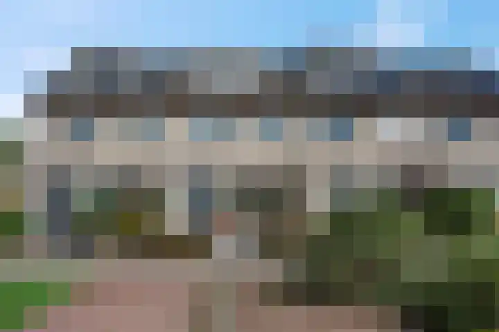 Koraalzwam 15 Veenendaal