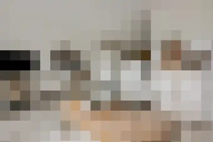 Koraalzwam 15 Veenendaal thumbnail 12