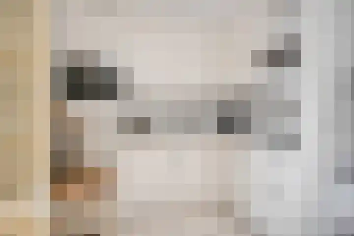 Koraalzwam 15 Veenendaal thumbnail 16