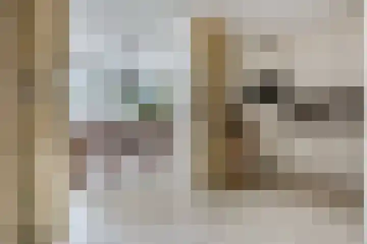 Koraalzwam 15 Veenendaal thumbnail 17