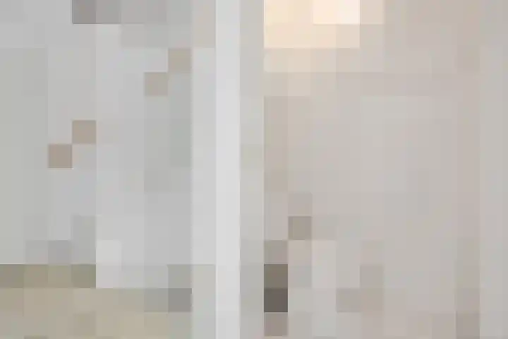 Koraalzwam 15 Veenendaal thumbnail 21