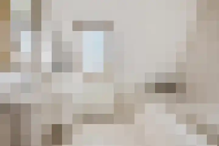 Koraalzwam 15 Veenendaal thumbnail 22