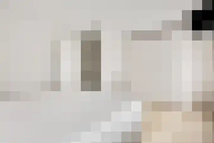 Koraalzwam 15 Veenendaal thumbnail 28