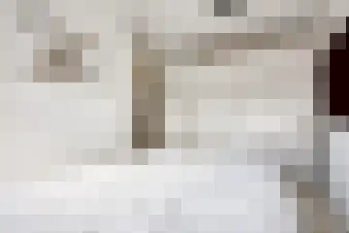 Koraalzwam 15 Veenendaal thumbnail 30