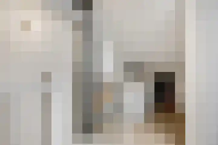 Koraalzwam 15 Veenendaal thumbnail 31