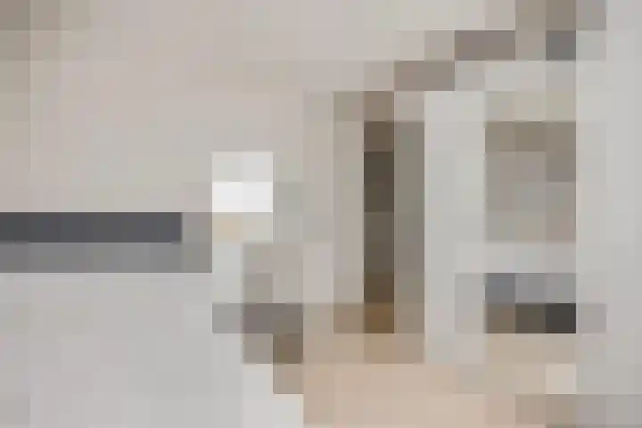 Koraalzwam 15 Veenendaal thumbnail 35