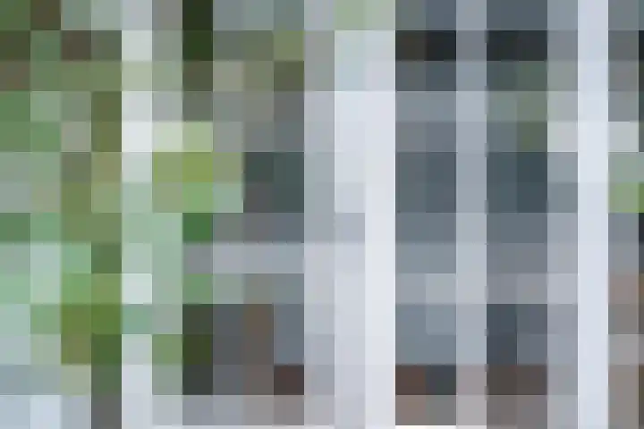 Koraalzwam 15 Veenendaal thumbnail 37