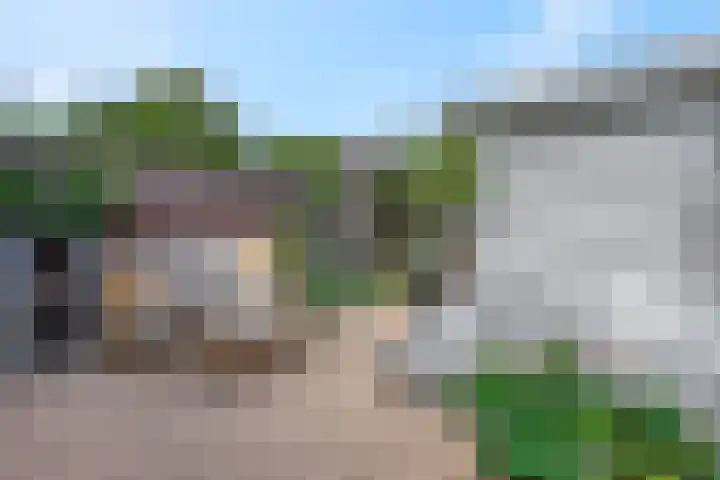 Koraalzwam 15 Veenendaal thumbnail 38