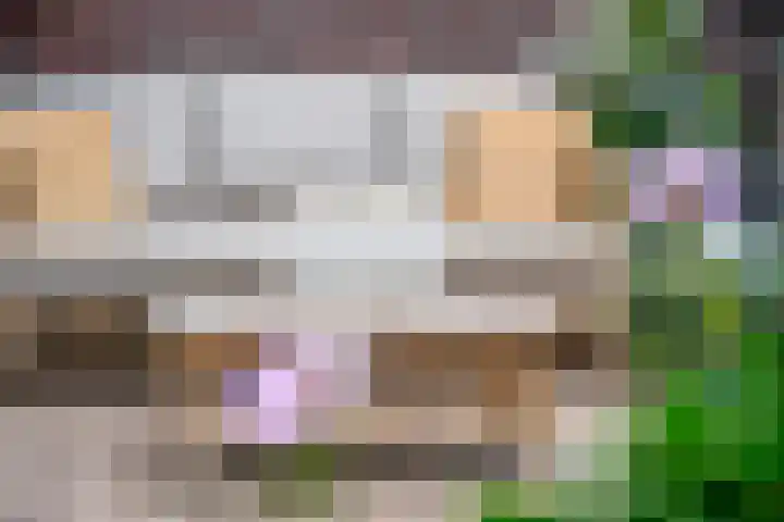 Koraalzwam 15 Veenendaal thumbnail 39