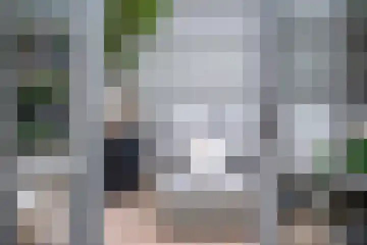 Koraalzwam 15 Veenendaal thumbnail 40