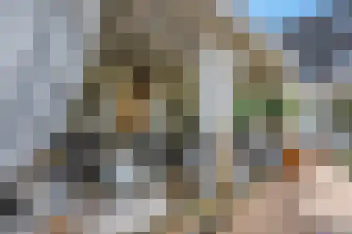 Koraalzwam 15 Veenendaal thumbnail 42