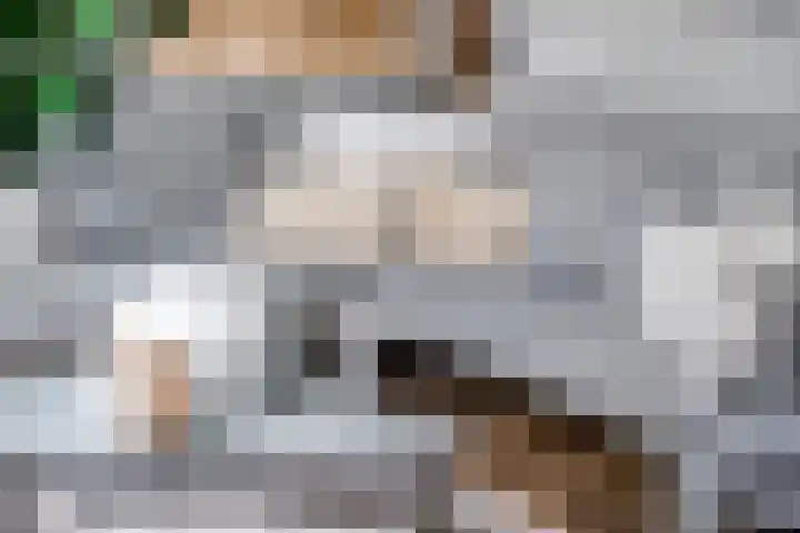 Koraalzwam 15 Veenendaal thumbnail 43