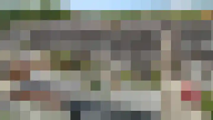 Koraalzwam 15 Veenendaal thumbnail 46