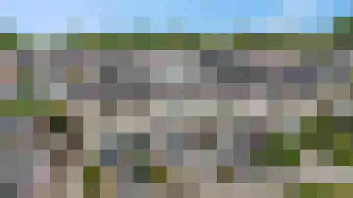 Koraalzwam 15 Veenendaal thumbnail 47