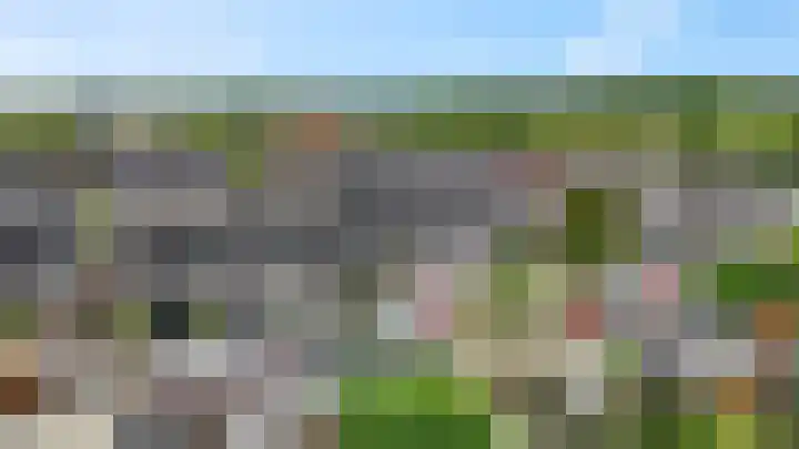 Koraalzwam 15 Veenendaal thumbnail 48