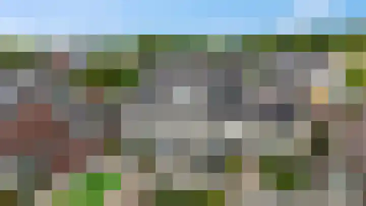 Koraalzwam 15 Veenendaal thumbnail 49