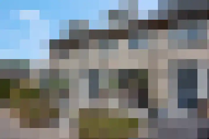 Koraalzwam 15 Veenendaal thumbnail 5