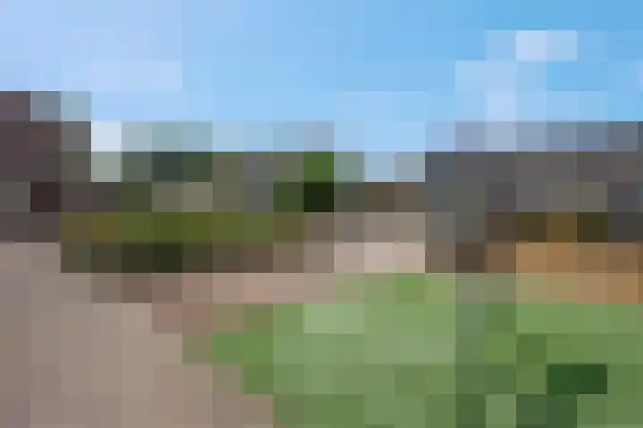 Koraalzwam 15 Veenendaal thumbnail 51
