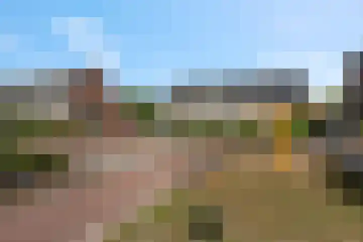 Koraalzwam 15 Veenendaal thumbnail 52