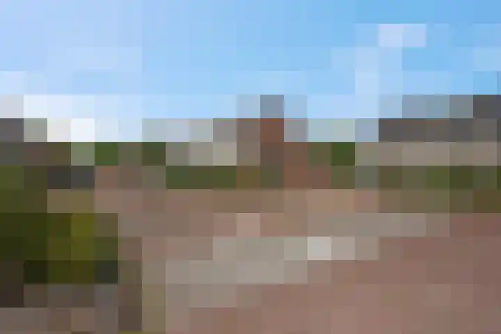 Koraalzwam 15 Veenendaal thumbnail 53