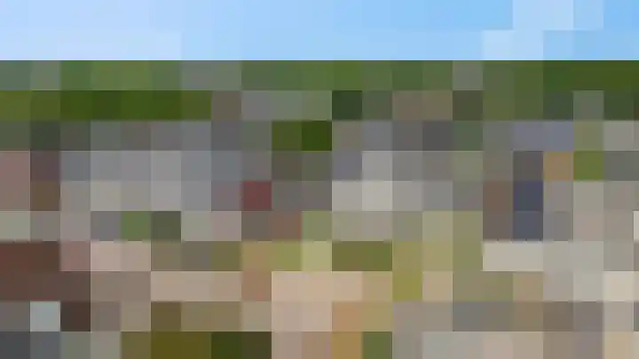 Koraalzwam 15 Veenendaal thumbnail 54
