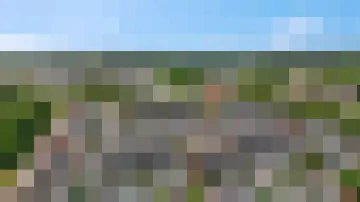 Koraalzwam 15 Veenendaal thumbnail 55
