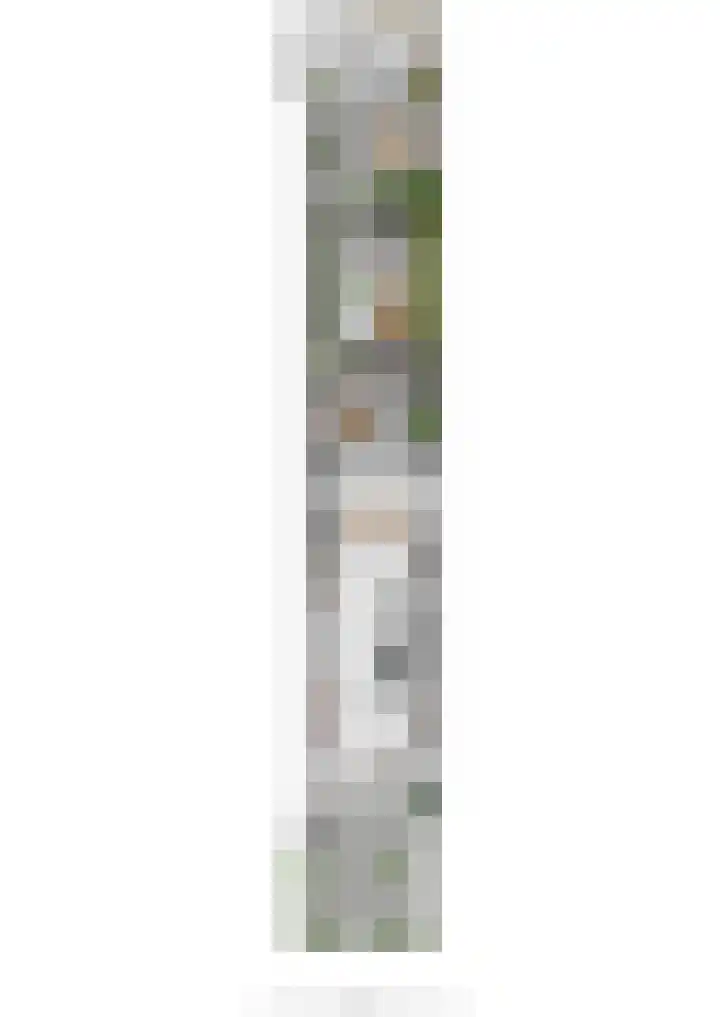 Koraalzwam 15 Veenendaal thumbnail 56