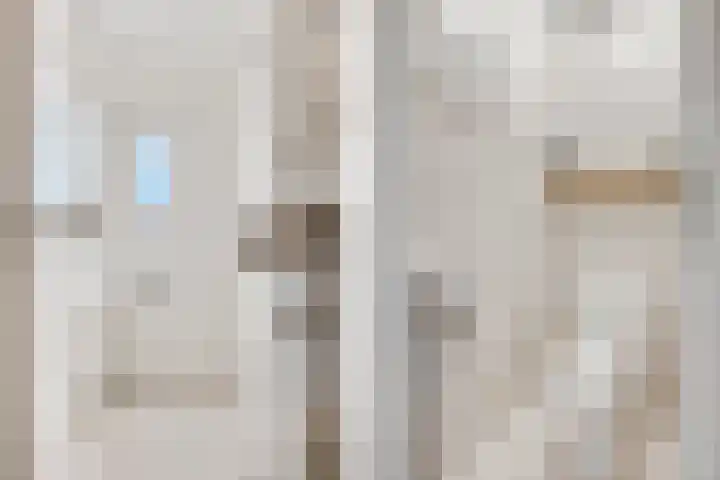 Koraalzwam 15 Veenendaal thumbnail 7