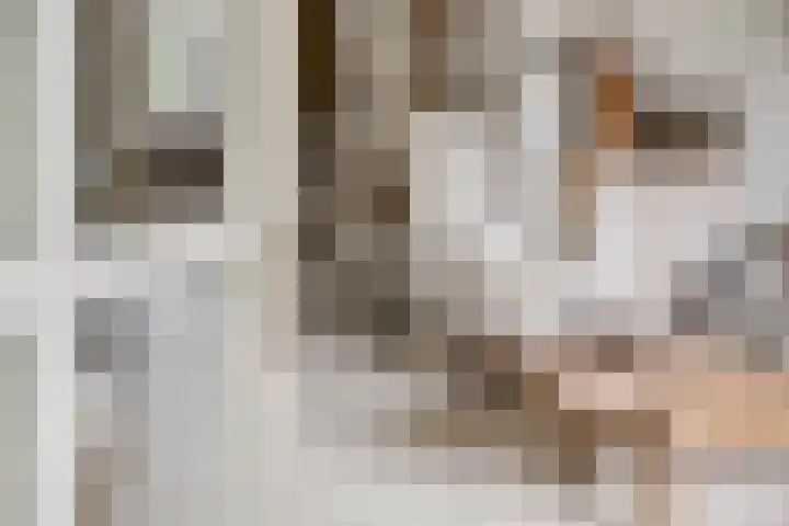 Koraalzwam 15 Veenendaal thumbnail 9
