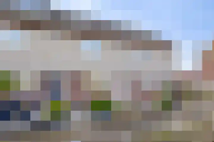 Koraalzwam 16 Veenendaal