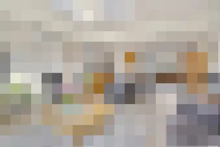 Koraalzwam 16 Veenendaal thumbnail 10