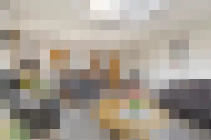 Koraalzwam 16 Veenendaal thumbnail 11