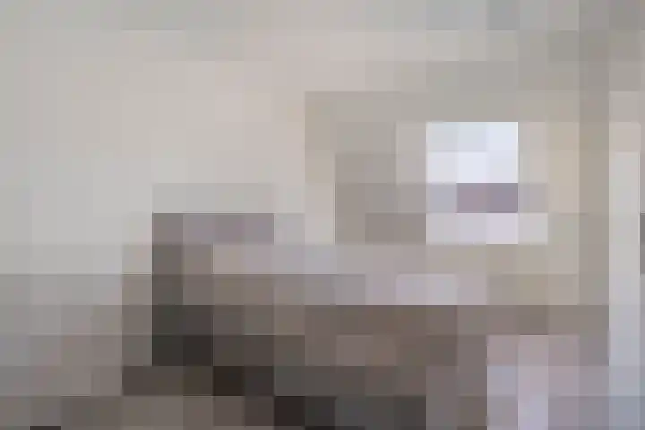 Koraalzwam 16 Veenendaal thumbnail 15