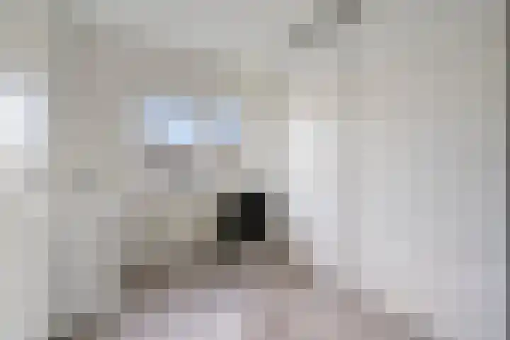 Koraalzwam 16 Veenendaal thumbnail 17
