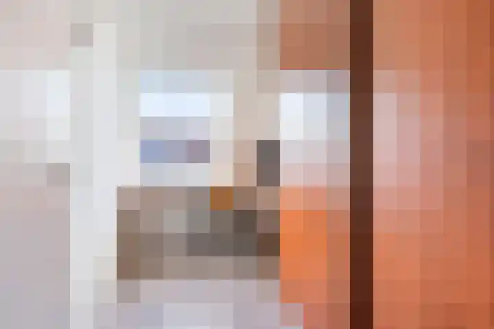 Koraalzwam 16 Veenendaal thumbnail 19